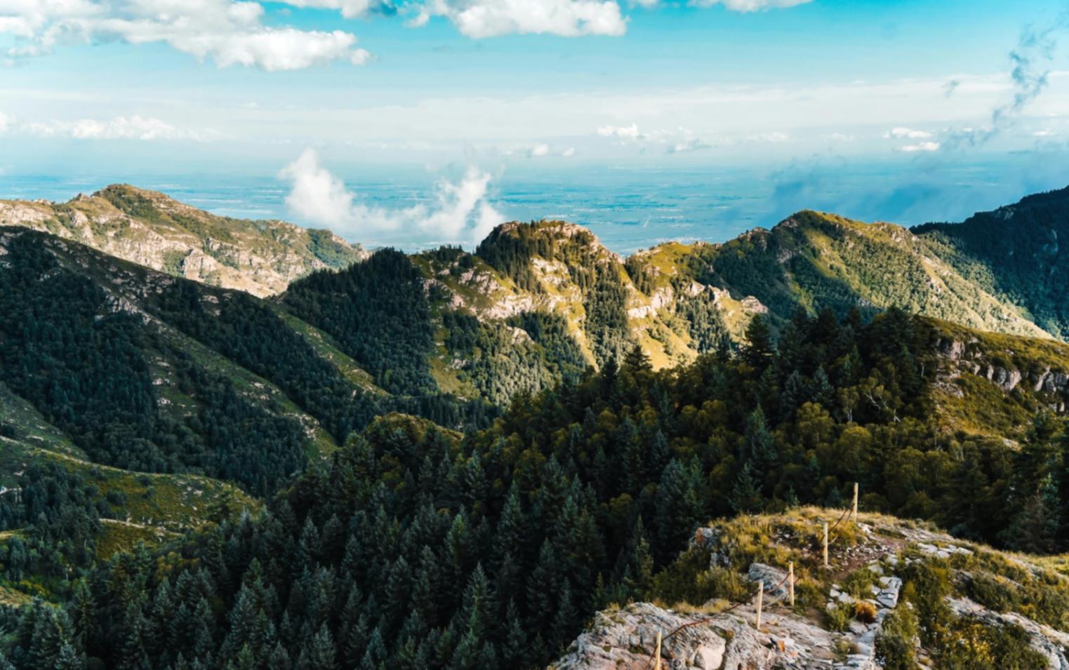 Отраслевая конференция по туризму